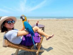 Kunjungan Wisata Batang 2025 Tembus 1,5 Juta, Naik 139 Persen