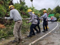 PLN Gercep Pulihkan Jaringan Listrik Pascabencana di Aceh, Sumut, dan Sumbar
