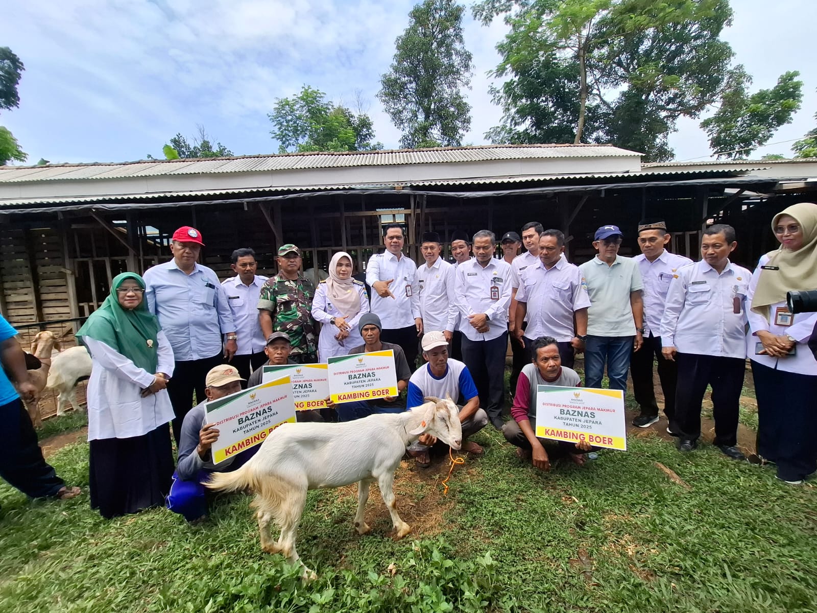 Penyerahan 40 ekor kambing Boer (foto: Pemkab Jepara)