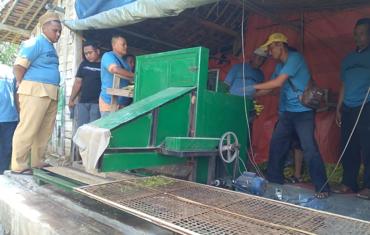 Mesin eler tembakau otomatis petani Pragu (foto: Pemprov Jateng)