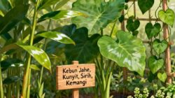 Ilustrasi Taman Obat Keluarga (TOGA) AI