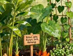 Toga, Jangan Layu Sebelum Berkembang