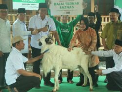 Balai Ternak Baznas ke-55 Resmi Berdiri di Semarang