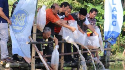 Embung Jadi Ladang Ekonomi, Sragen Tebar 250 Ribu Bibit Ikan Nila