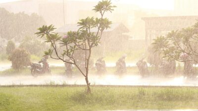 Cuaca Ekstrem Ancam Panen, Jateng Dorong Asuransi Pertanian