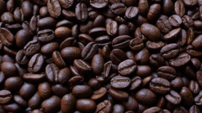 ilustrasi biji kopi (pixabay/ indraprojects)