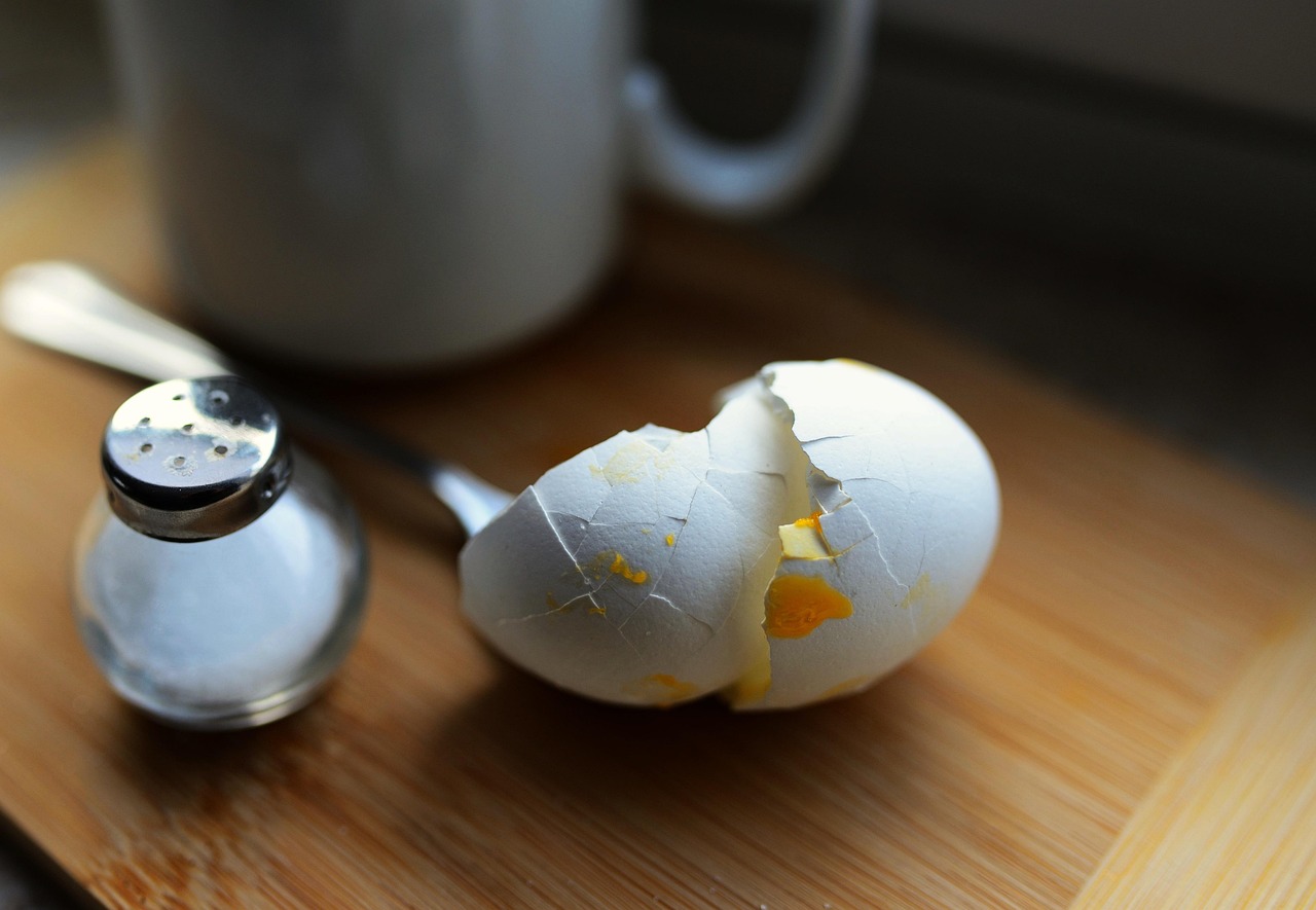 ilustrasi telur asin (pixabay/ congerdesign)