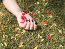 Modus Peredaran Narkotika di Demak: Kurir “Kuda” Jadi Perantara Tanpa Bertemu Bandar