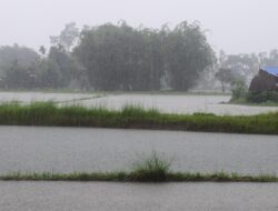 Pemprov Jateng Pantau Cuaca di Akhir Tahun, Antisipasi Rob dan Hujan Lebat