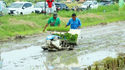 Panen di Rembang naik signifikan (foto: Pemkab Rembang)