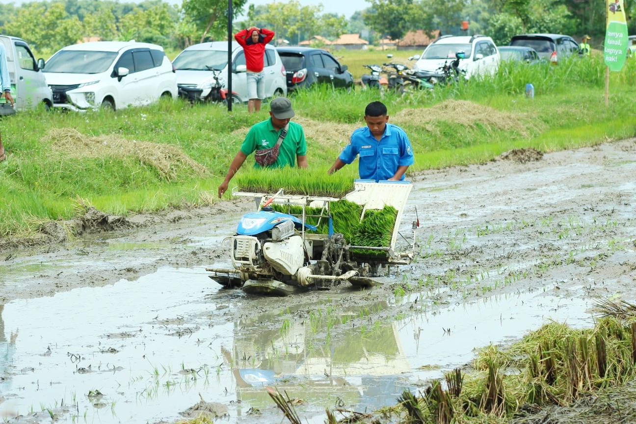 Panen di Rembang naik signifikan (foto: Pemkab Rembang)