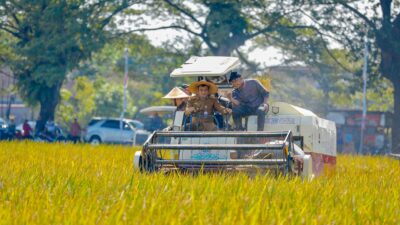 Jateng siap swasembada pangan pada 2026 (foto: Pemprov Jateng)