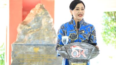 Kepala Eksekutif Pengawas Perilaku Pelaku Usaha Jasa Keuangan OJK, Friderica Widyasari Dewi (foto: OJK)