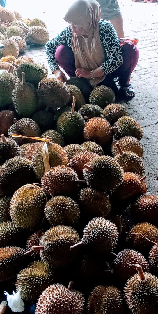 Pedagang durian di pasar ace Kecamatan Mijen, Kota Semarang (Foto: Fikri Bumantara/Javanews.id)