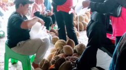 Keramaian jual beli durian di pasar ace Mijen Kota Semarang (Foto: Fikri Bumantara)