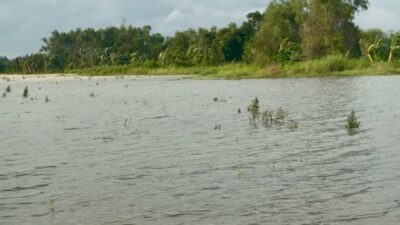 ilustrasi gagal panen karena cuaca ekstrem (foto: Pemprov Jateng)