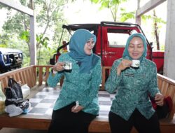 Kopi Alpukat Muria, Inovasi UMKM Kudus yang Go International