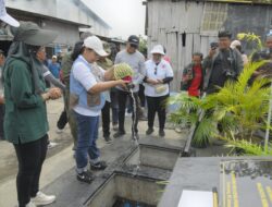 Kampung Mangut Semarang Naik Kelas: Ada IPAL Komunal Ramah Lingkungan