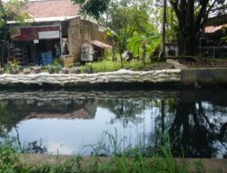 Sandbag Dipasang di Titik Rawan, Pekalongan Siaga Hadapi Limpasan Sungai