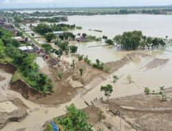 1.842 Hektare Sawah di Grobogan Terendam, Pemprov Jateng Dampingi Ajukan Klaim Asuransi