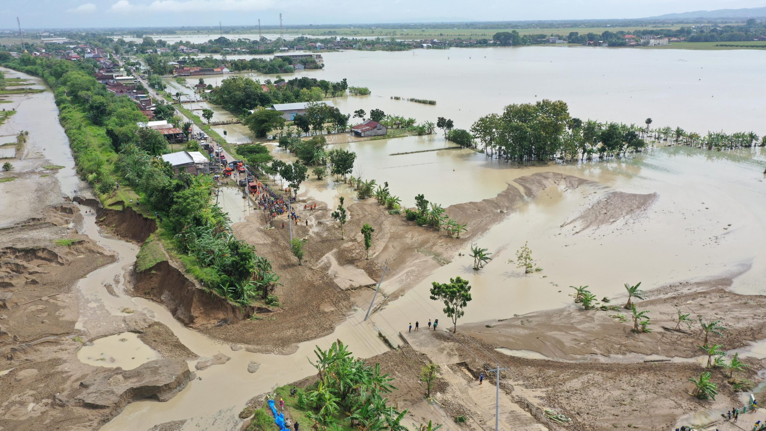 Banjir merendam ribuan hektare sawah di Grobogan, Pemprov Jateng siapkan pendampingan klaim asuransi (foto: Pemprov Jateng)